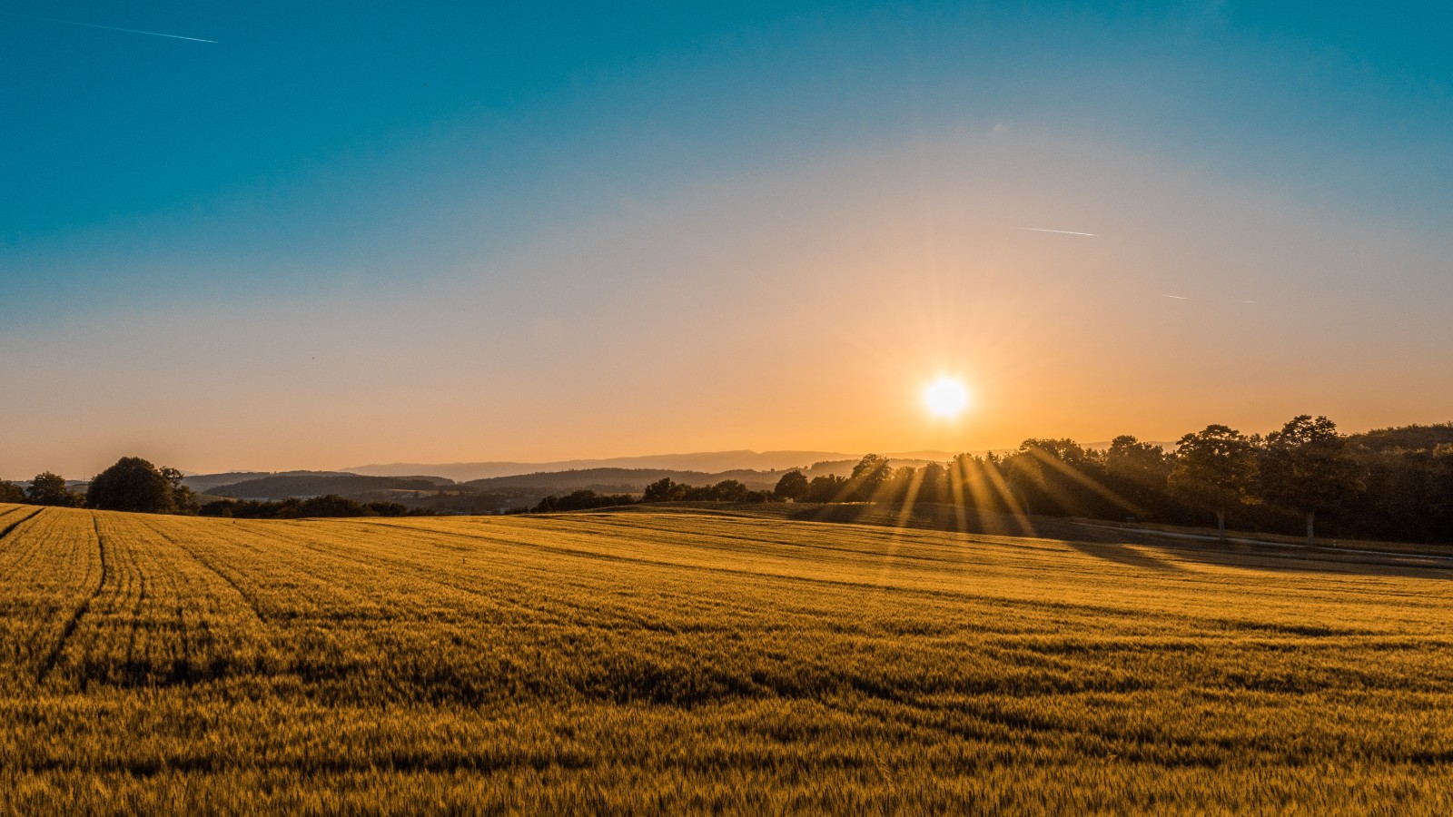 Landschaft