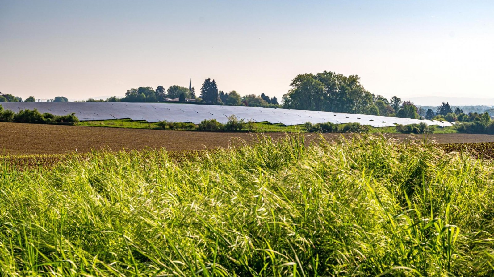 Landschaft